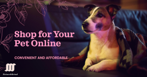 Adorable dog with a shopping cart filled with pet supplies.