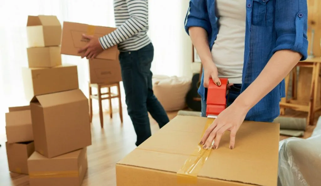 movers 