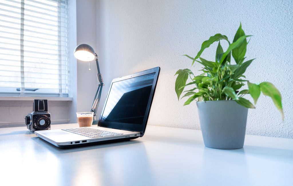 Office Plants: How to Use Plant As A Natural Way to Grow Productivity