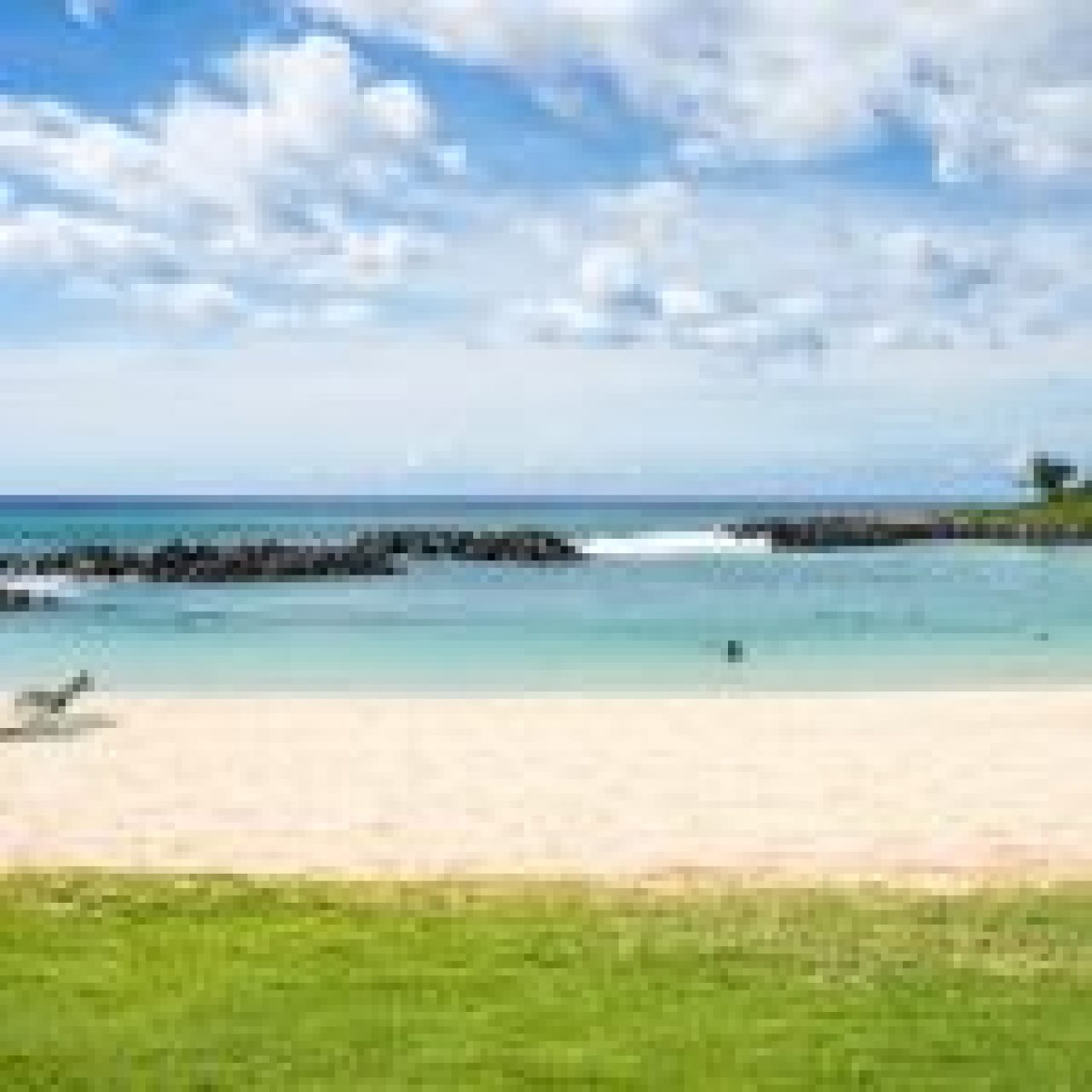A picturesque Hawaiian beach with crystal-clear waters, palm trees, and golden sand, illustrating the natural beauty of Hawaii.