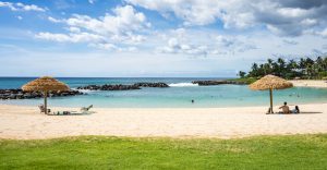 A picturesque Hawaiian beach with crystal-clear waters, palm trees, and golden sand, illustrating the natural beauty of Hawaii.