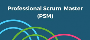 PSM Certification