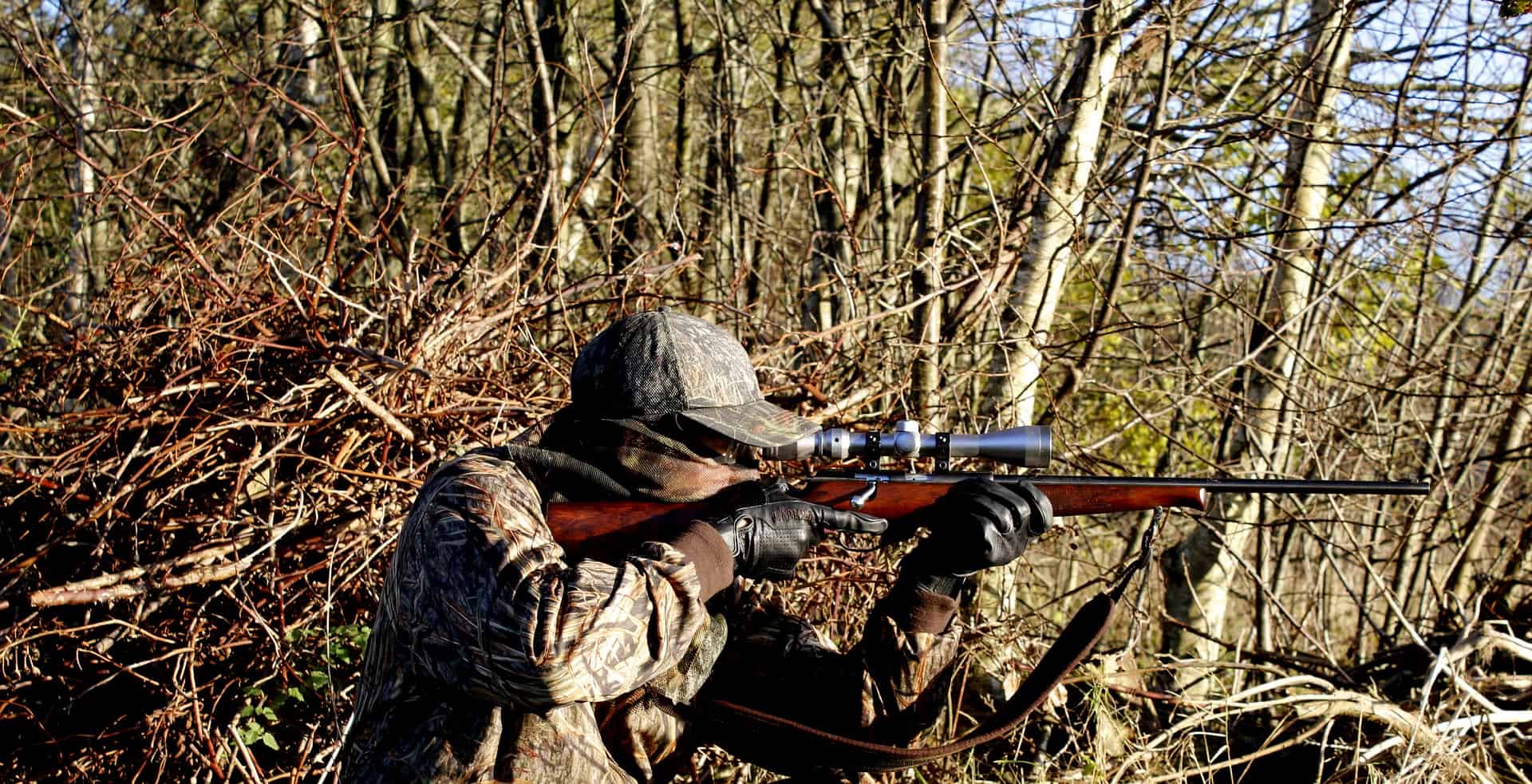 hunting g24a2a554d 1920 2