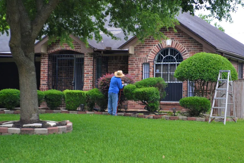 What is the difference between lawn care and maintenance