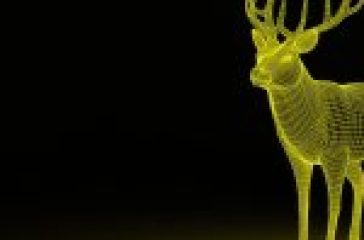 deer-1333814_1280