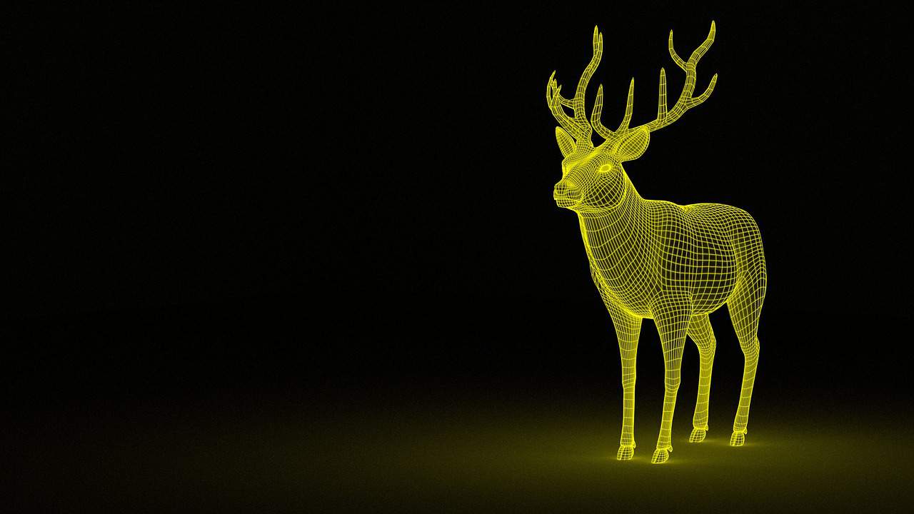 deer 1333814 1280
