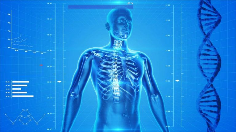 What Happens To Your Body When You Perform Pilates For A Long Time?