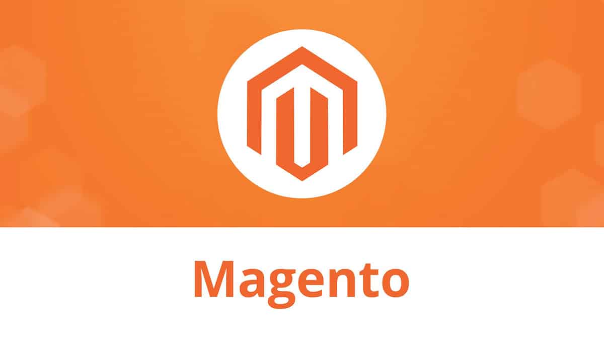 magento ecommerce development