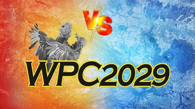 What Is WPC2029?