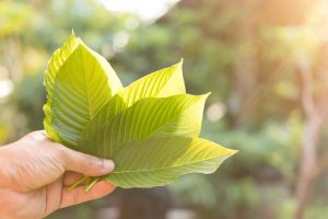 Super Green Malay Kratom