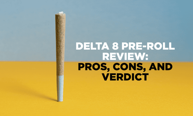 Delta 8 Pre-Roll Review: Pros, Cons, And Verdict.