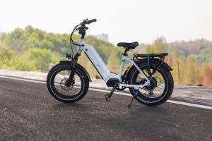 Cyclist riding an eBike on a scenic mountain road during sunset, equipped with panniers and hydration pack