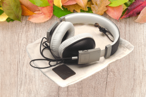 Polk Audio Buckle