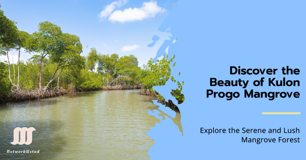 A scenic view of the Kulon Progo Mangrove Forest with lush greenery and clear water The image features a serene river surrounded by dense mangrove trees under a bright blue sky On the right side theres promotional text inviting viewers to discover and explore this natural beauty