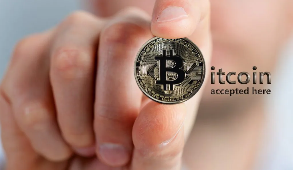 Top 5 hardware wallets to store crypto safely
