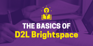 D2L MNSU