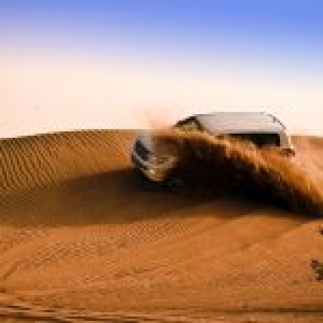 Evening Desert Safari