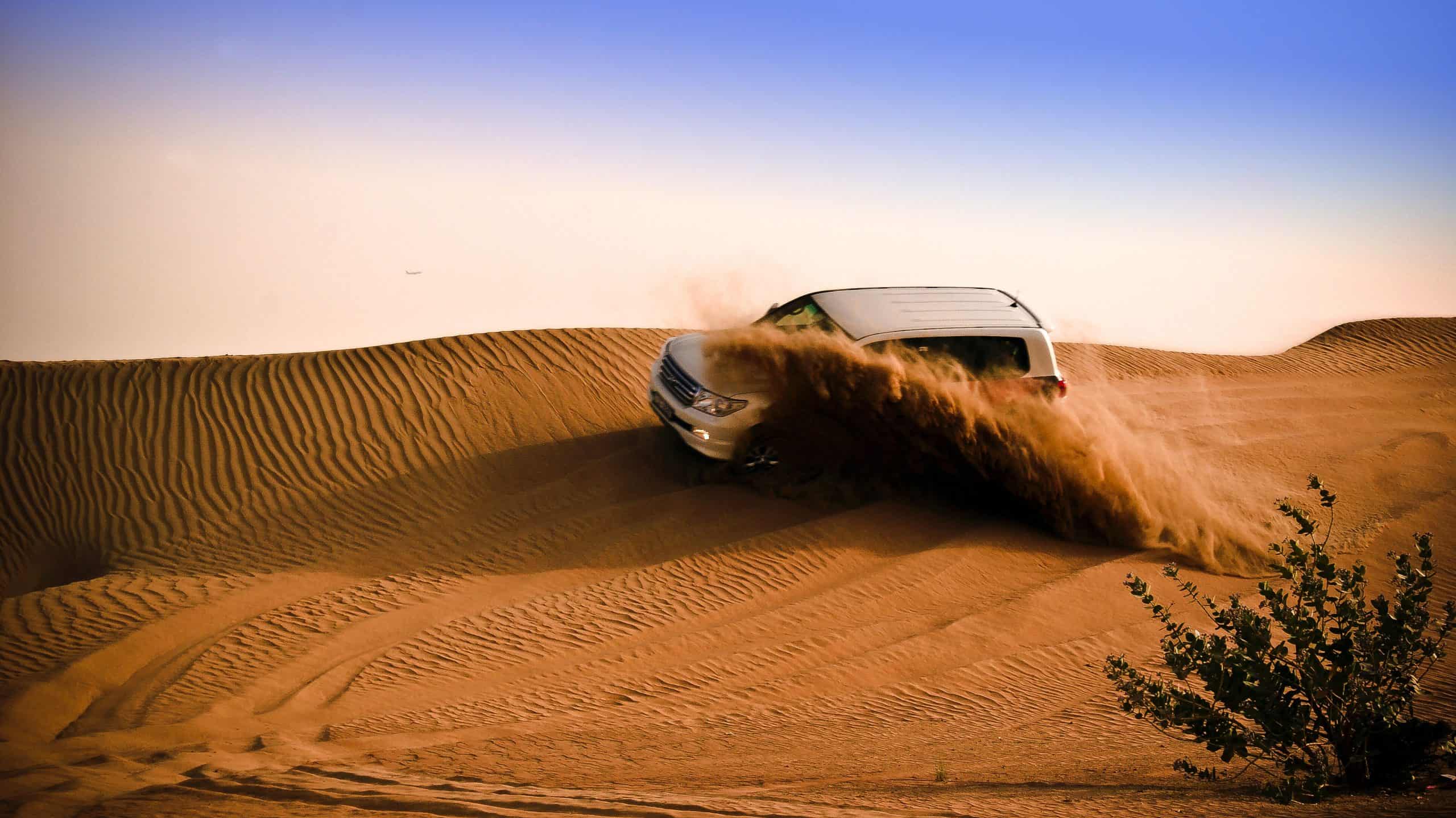 Evening Desert Safari