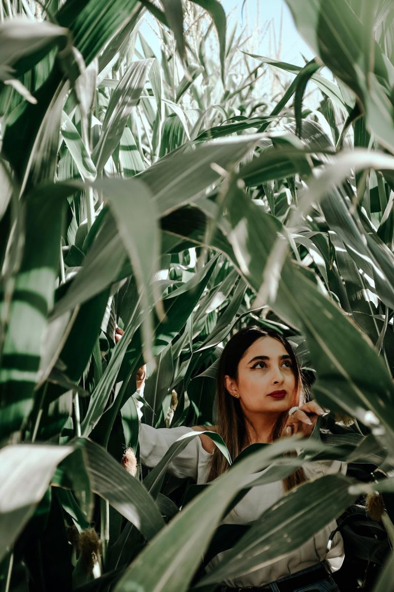 A guide to the best free or cheap alternatives for Adobe Lightroom in 2022