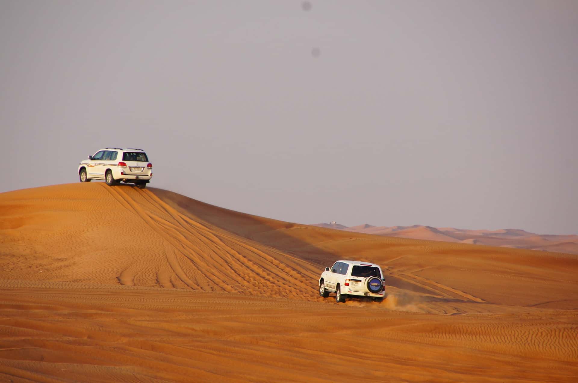 Evening Red Dunes Desert Safari in Dubai