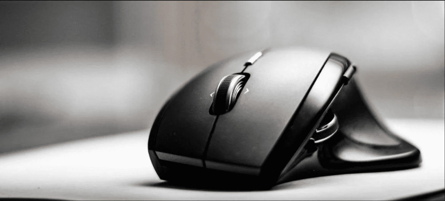 Mouse