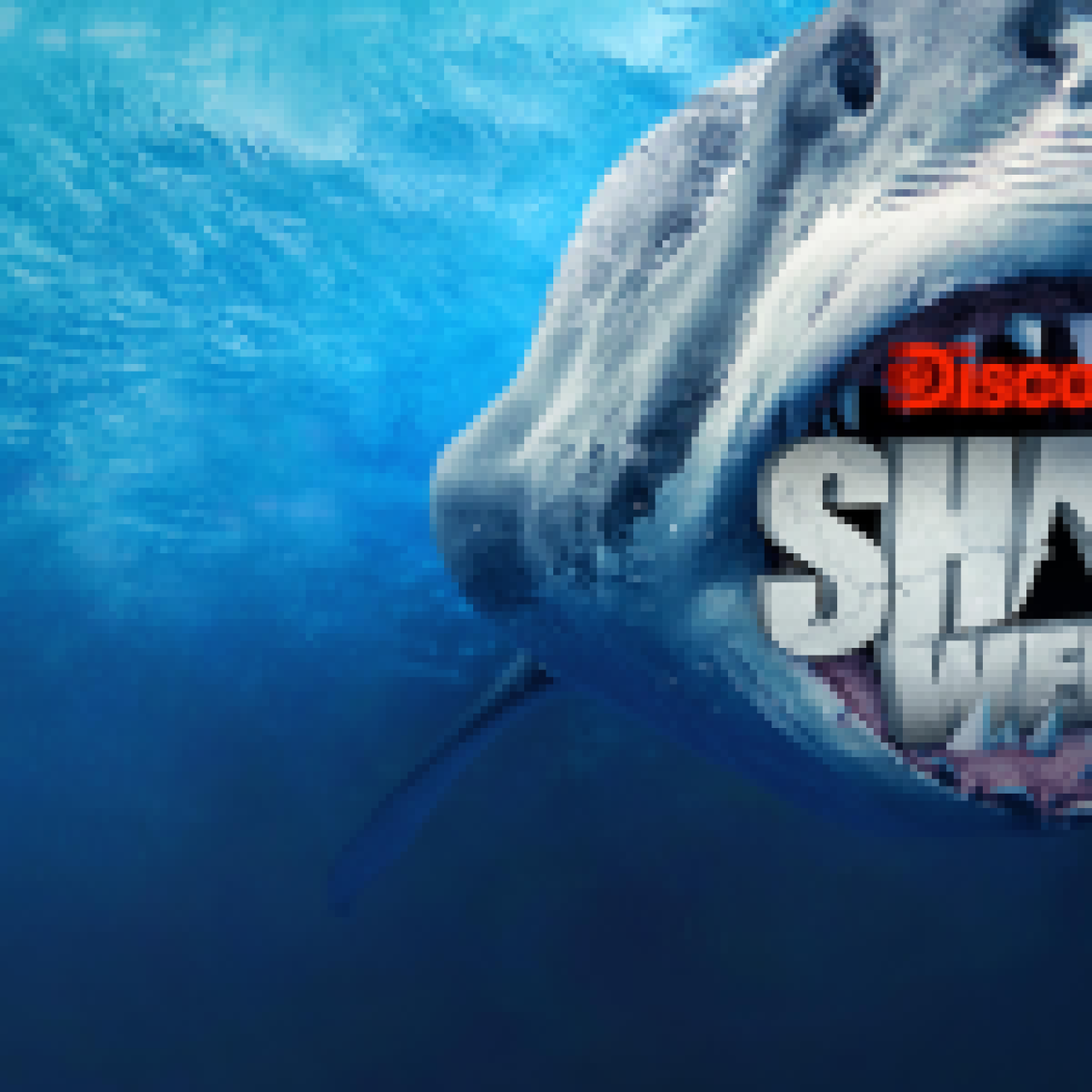shark week