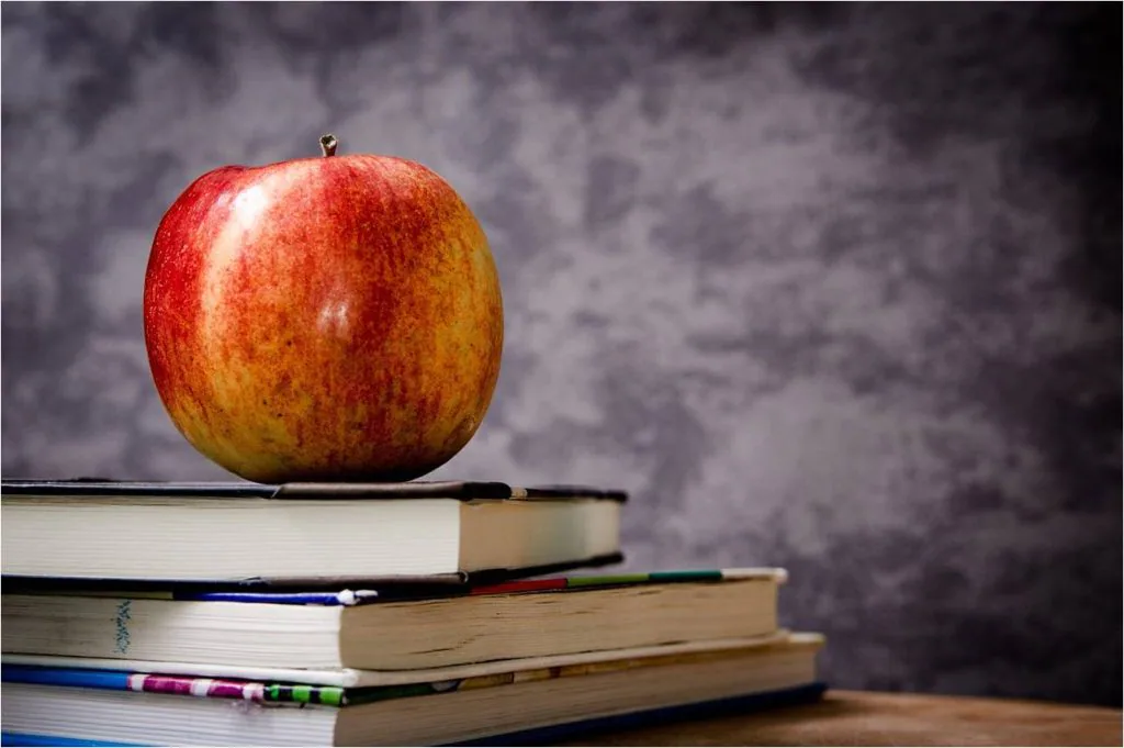 How to Sell Textbooks for Profit