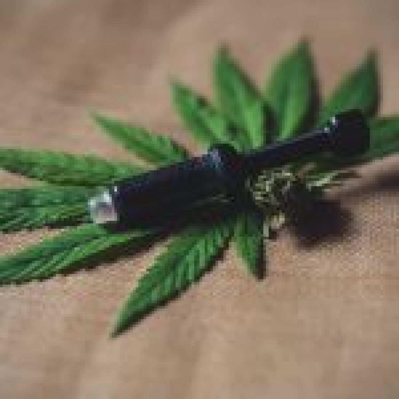 Syringe applicator on cannabis leaves with ground herb beside it - precision dosing for CBD softgels.
