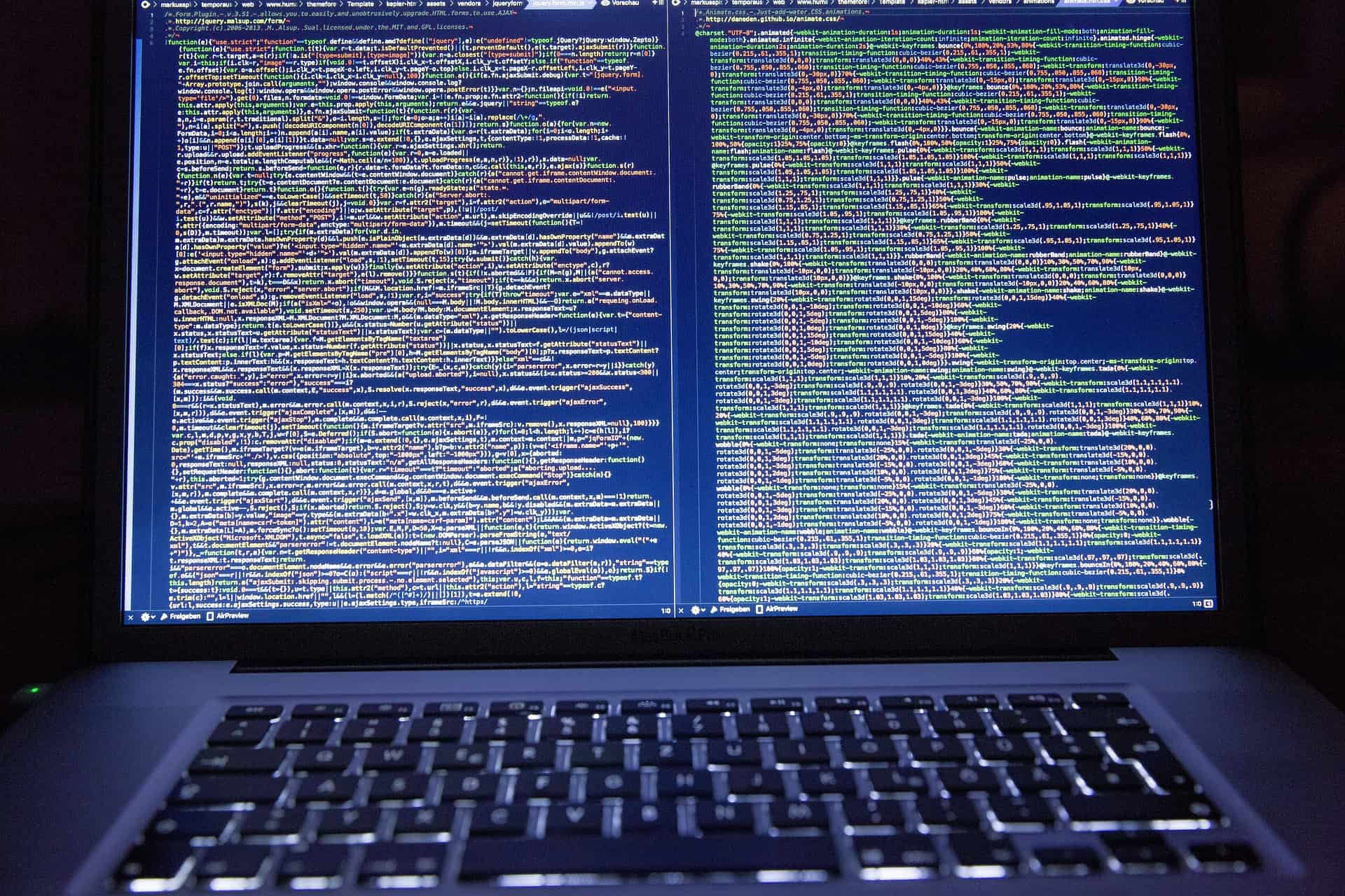Network Professional