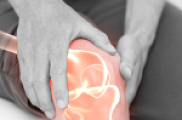 Knee