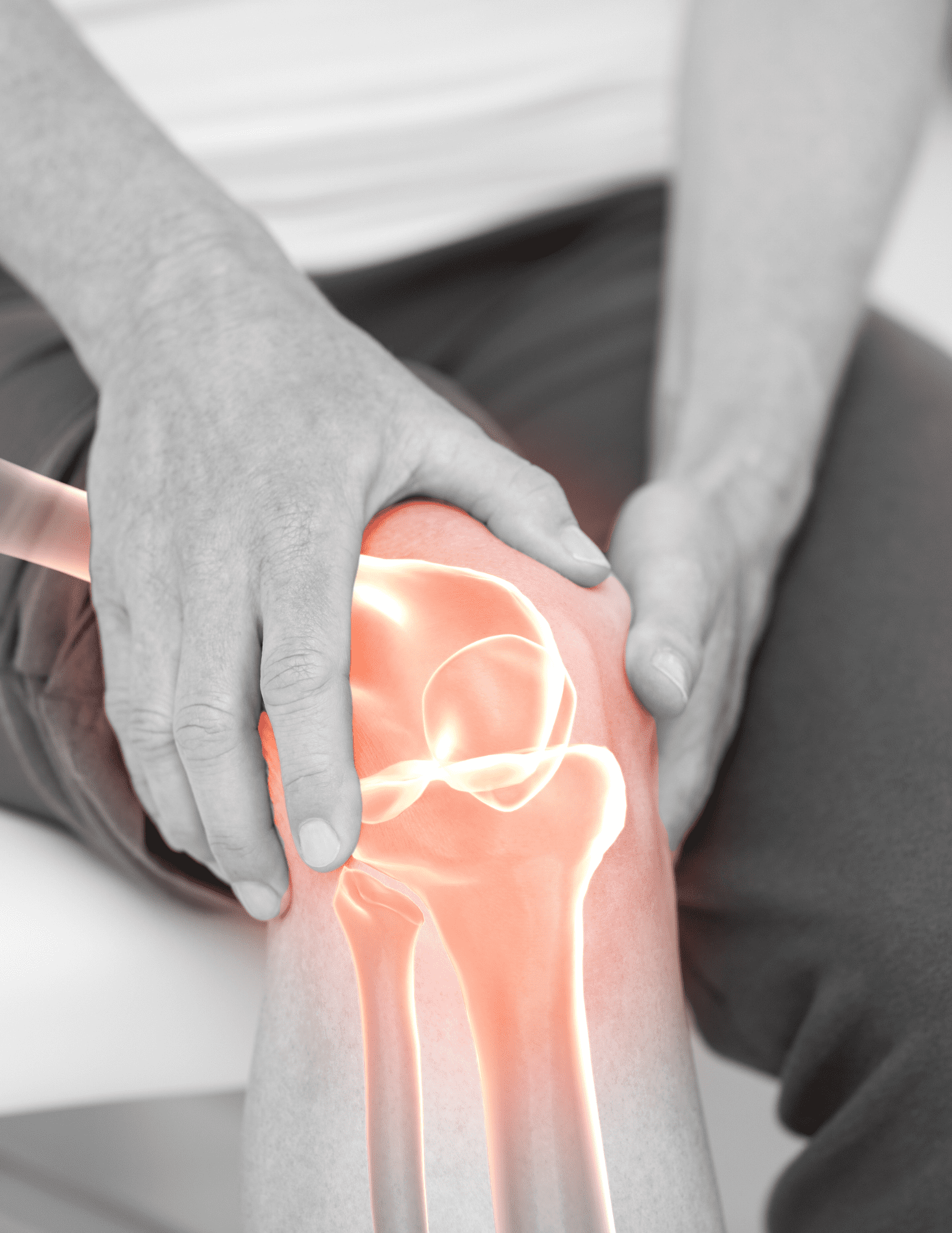 Knee