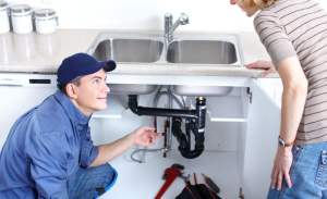 Professional Plumber