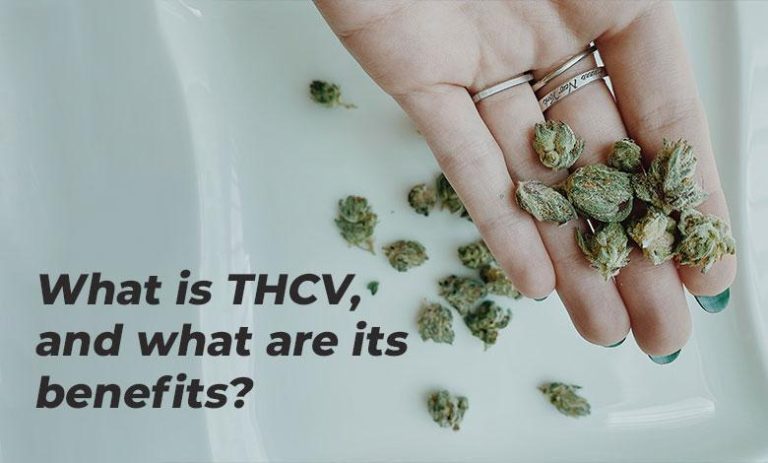 What is THCV, and what are its benefits?