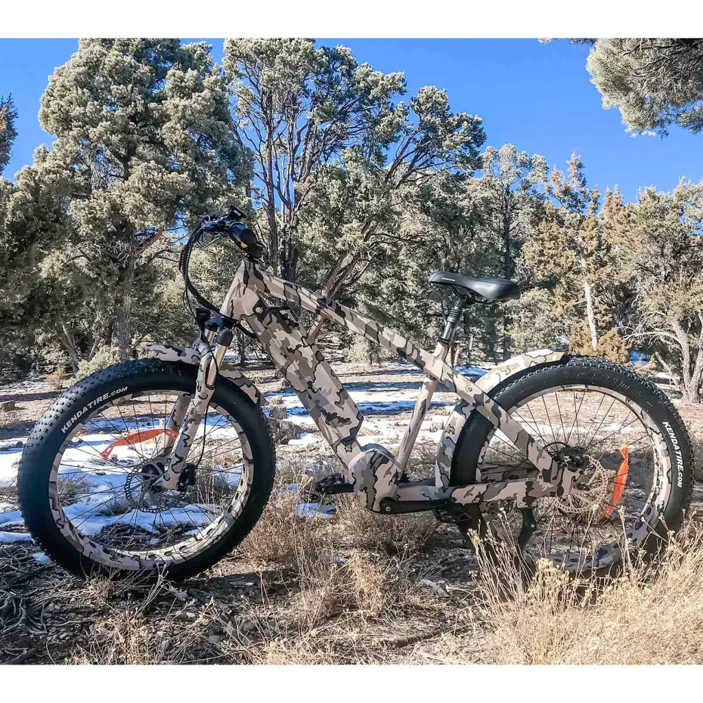 Best Tips for Electric Bike Storage During the Winter 