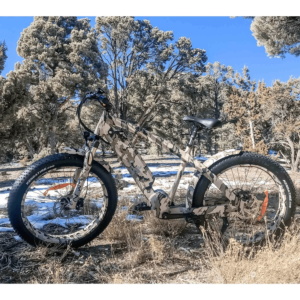 Electric Bike Storage