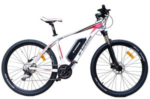Electric Mountain Bike