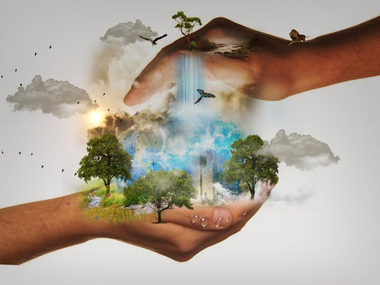 The best ways YOU can help save the planet right now