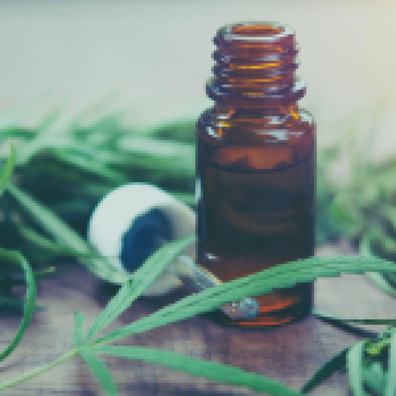 CBD sales in Europe