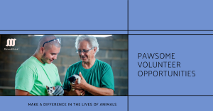 Two volunteers at an animal shelter discussing over a clipboard while one holds a small pet.