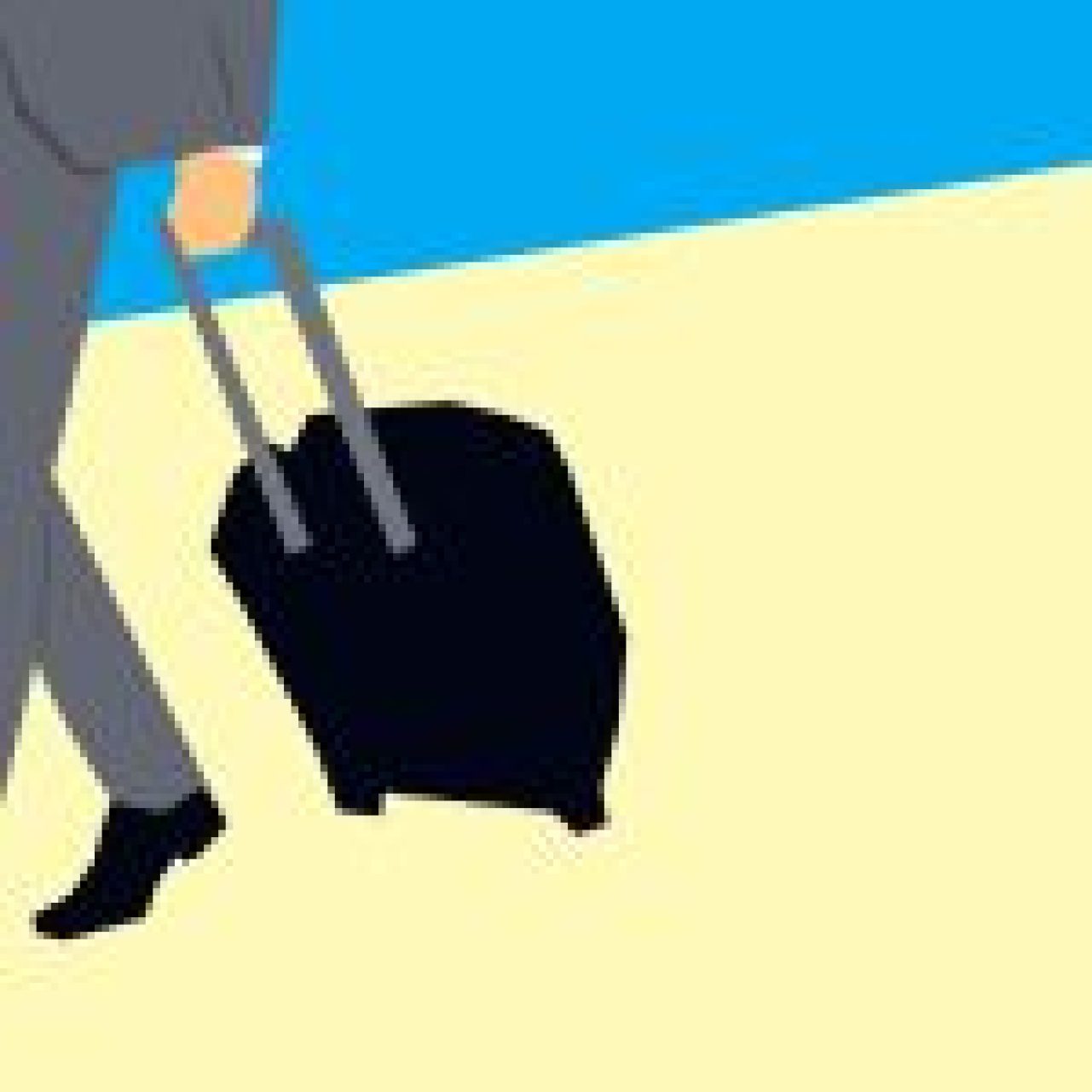 One-Day Business Trips