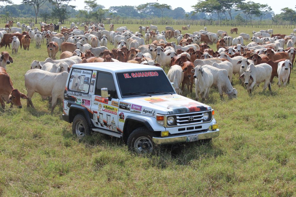 How to Market Your Veterinary Services How to Market Your Veterinary Services