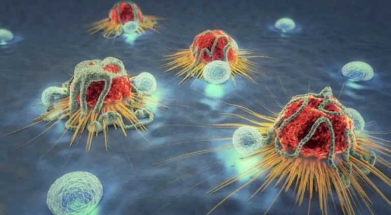 How to effectively kill cancer cells? You can try Larotrectinib!