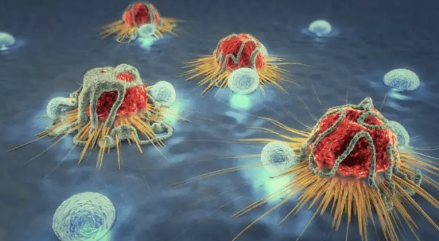How to effectively kill cancer cells? You can try Larotrectinib!