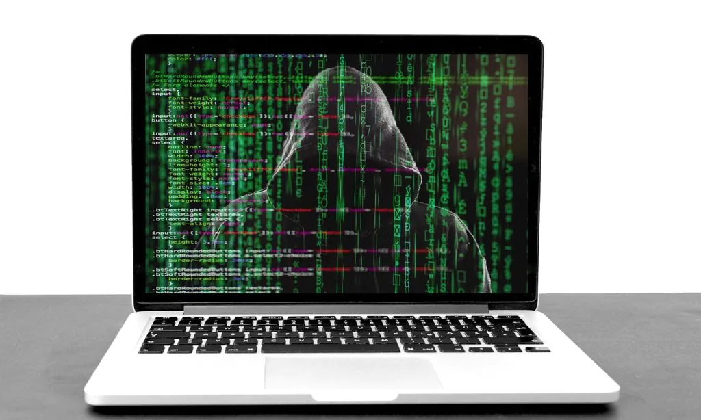 The Digital Wild West: Taming Cybercrime And Law Enforcement