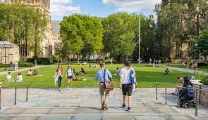 Yale University