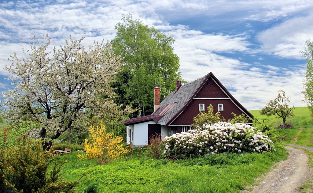 Strategies to Round-Up Knowledge on Home Improvement & Gardening Strategies to Round-Up Knowledge on Home Improvement & Gardening