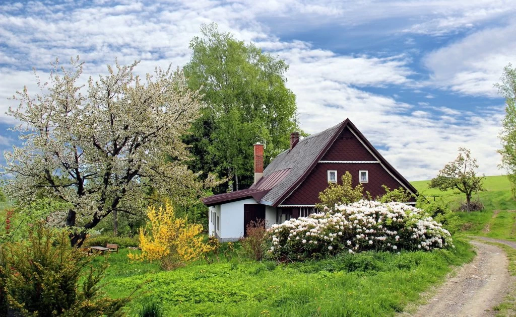 Strategies to Round-Up Knowledge on Home Improvement & Gardening