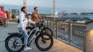 Three people on electric bikes with fat tires overlooking a waterfront with a Ferris wheel in the background.