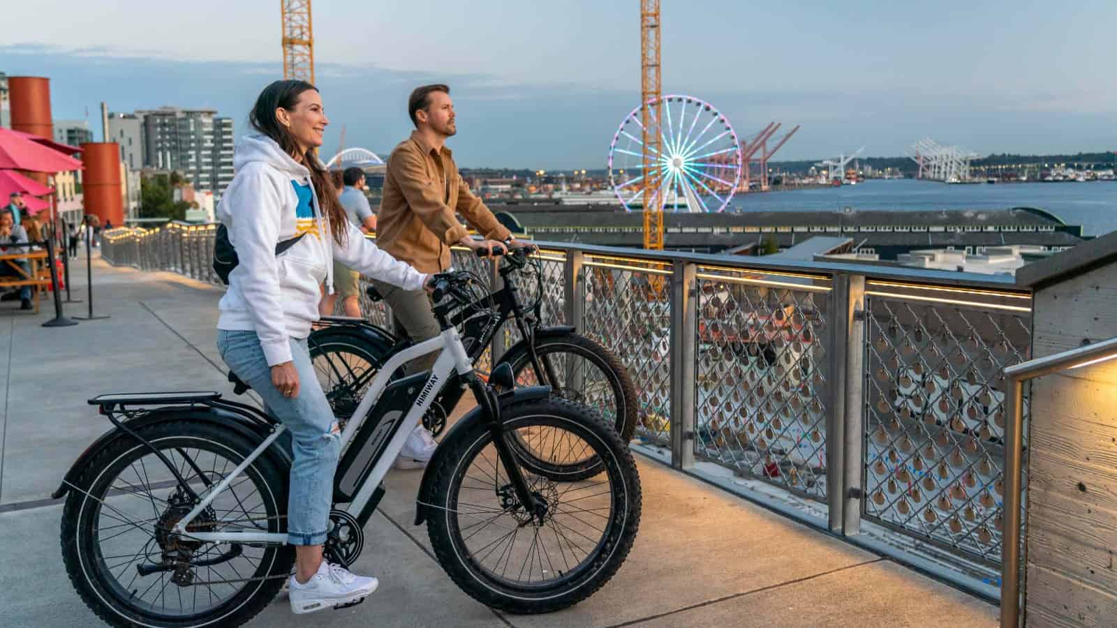 How To Choose Electric Bike Fat Tires?