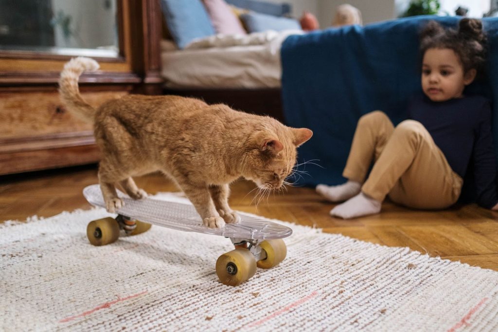 HOW CAN YOU CHOOSE A RUG FOR A HOME WITH PETS HOW CAN YOU CHOOSE A RUG FOR A HOME WITH PETS